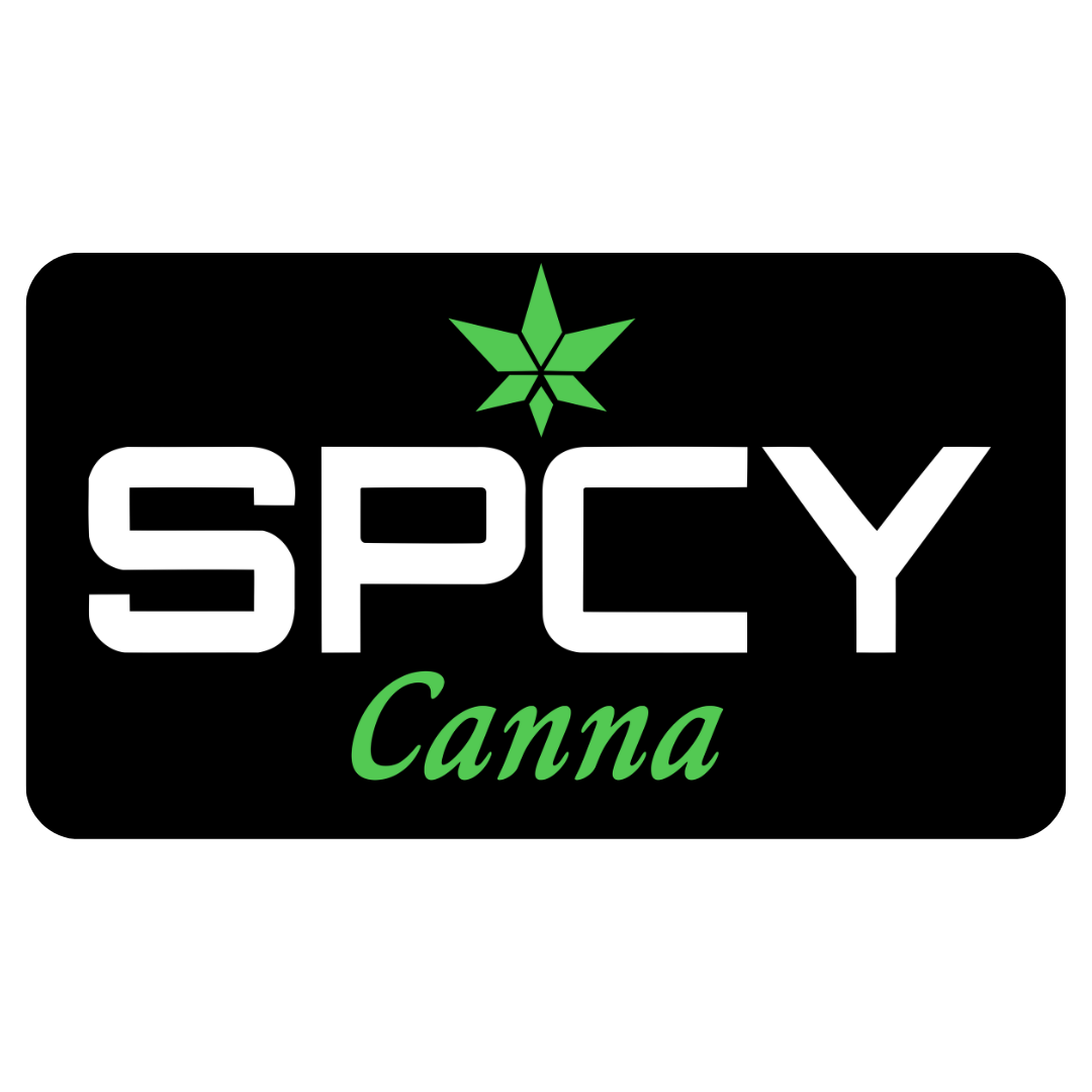 Collection of  in a gallery layout